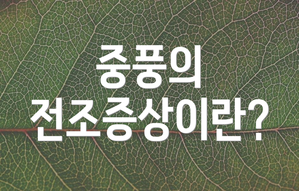 중풍의 전조증상이란?