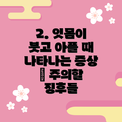 2. 잇몸이 붓고 아플 때 나타나는 증상 – 주의할 징후들