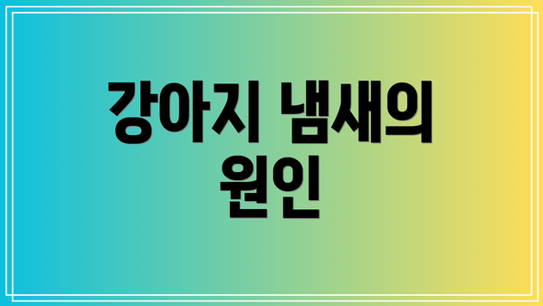 강아지 냄새의 원인