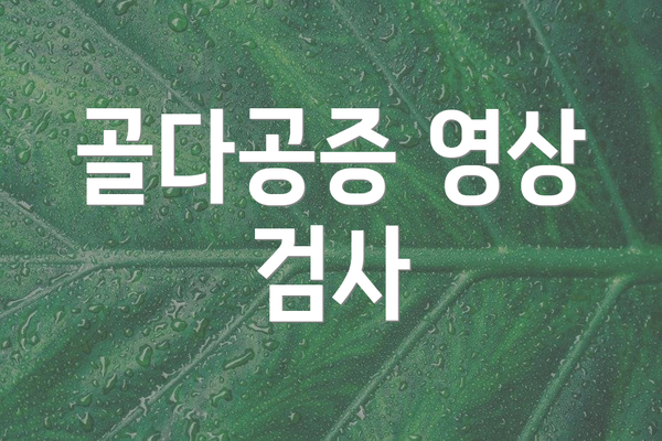 골다공증 영상 검사
