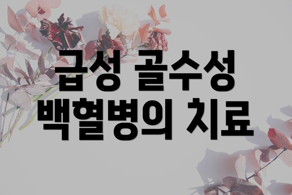 급성 골수성 백혈병의 치료