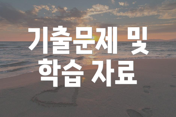기출문제 및 학습 자료
