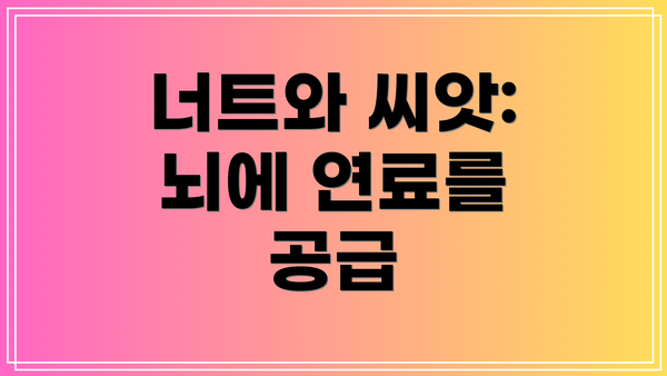 너트와 씨앗: 뇌에 연료를 공급