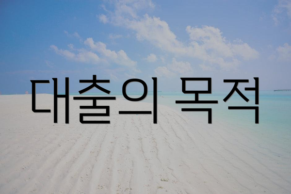 대출의 목적
