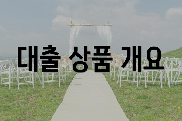 대출 상품 개요