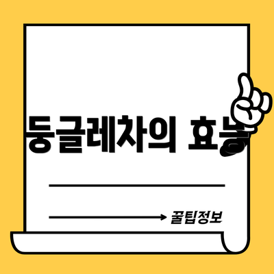 둥글레차의 효능