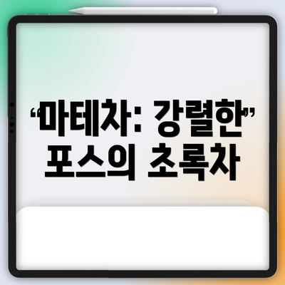 마테차: 강렬한 포스의 초록차