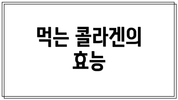 먹는 콜라겐의 효능