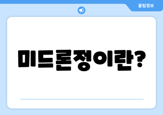 미드론정이란?