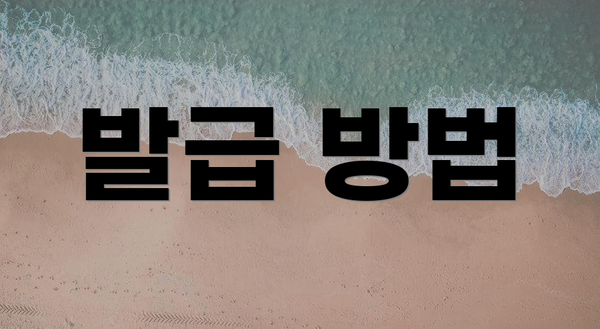 발급 방법