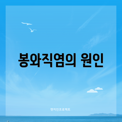 봉와직염의 원인