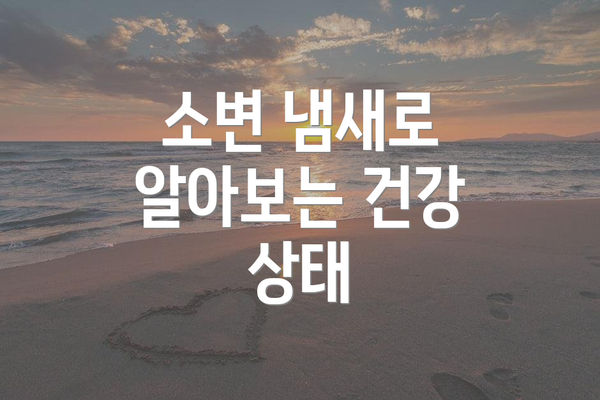 소변 냄새로 알아보는 건강 상태