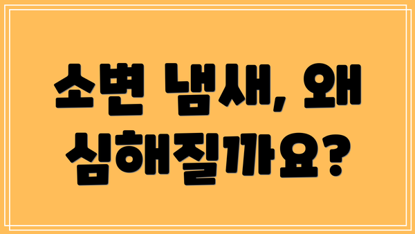 소변 냄새, 왜 심해질까요?