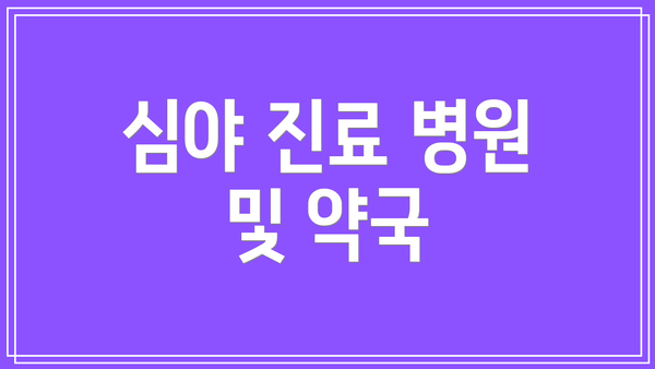 심야 진료 병원 및 약국