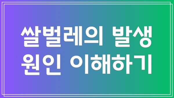 쌀벌레의 발생 원인 이해하기