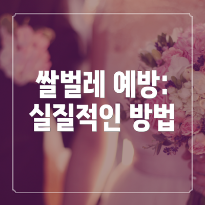쌀벌레 예방: 실질적인 방법