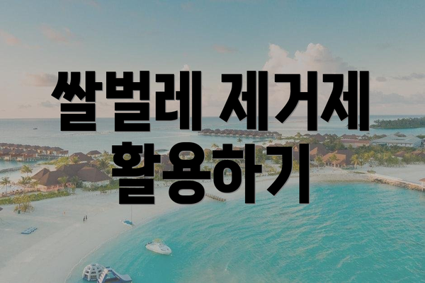 쌀벌레 제거제 활용하기
