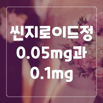 씬지로이드정 0.05mg과 0.1mg
