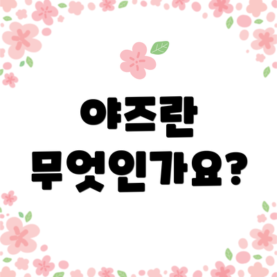 야즈란 무엇인가요?