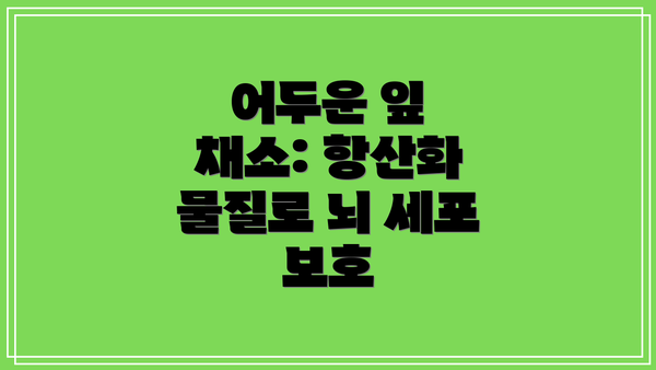 어두운 잎 채소: 항산화 물질로 뇌 세포 보호
