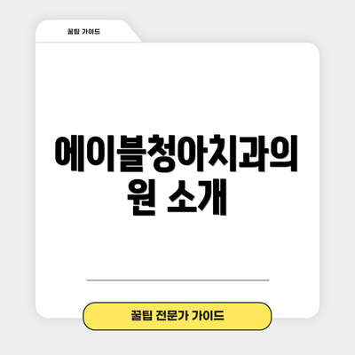 에이블청아치과의원 소개
