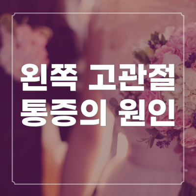 왼쪽 고관절 통증의 원인