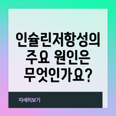 인슐린저항성의 주요 원인은 무엇인가요?