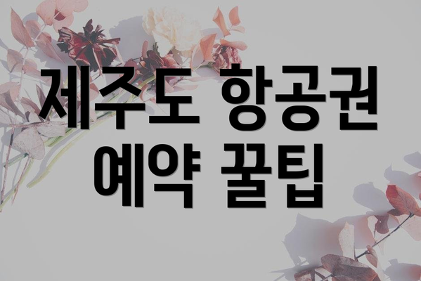 제주도 항공권 예약 꿀팁