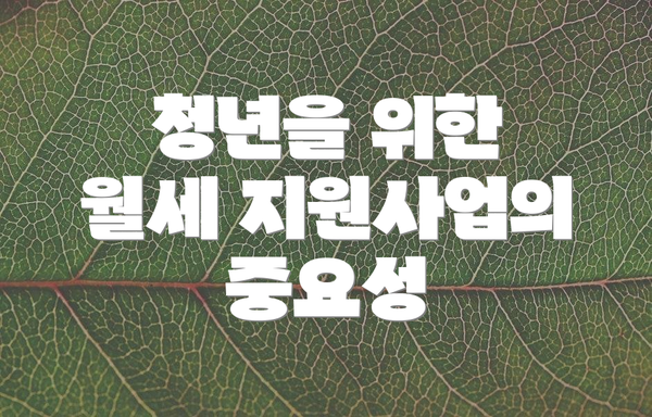 청년을 위한 월세 지원사업의 중요성
