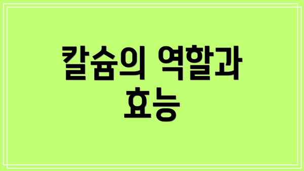 칼슘의 역할과 효능