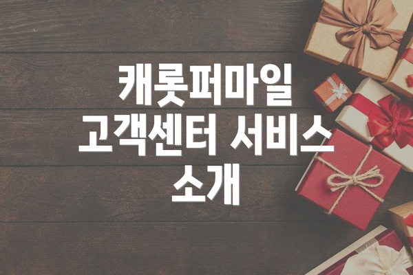 캐롯퍼마일 고객센터 서비스 소개