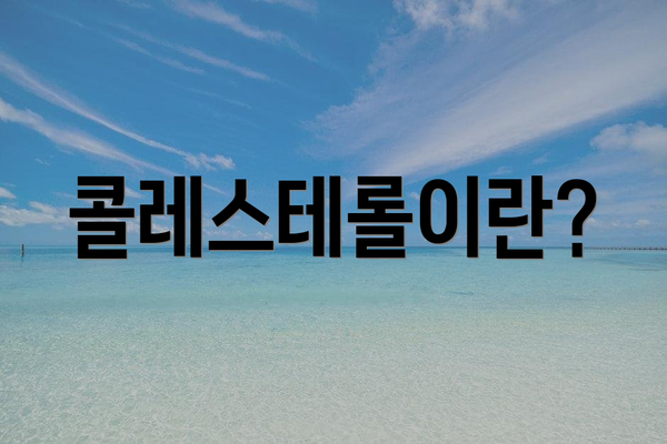 콜레스테롤이란?