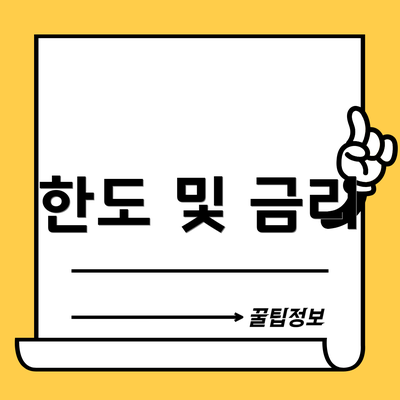 한도 및 금리