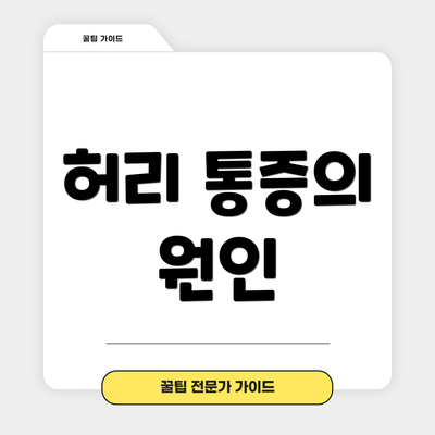 허리 통증의 원인