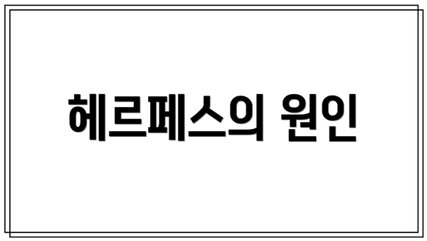 헤르페스의 원인