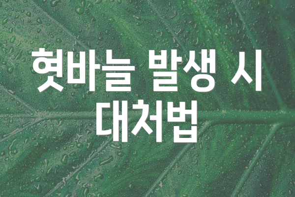 혓바늘 발생 시 대처법