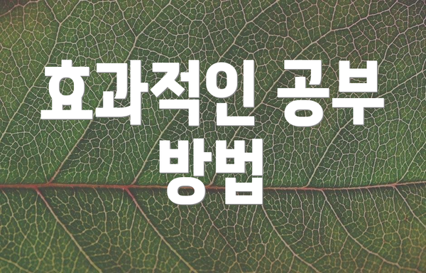 효과적인 공부 방법