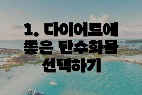 1. 다이어트에 좋은 탄수화물 선택하기