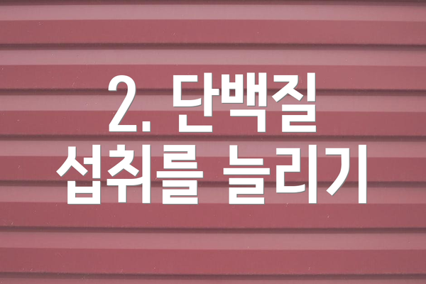 2. 단백질 섭취를 늘리기