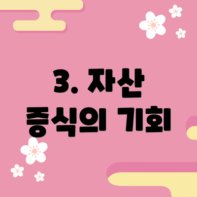 3. 자산 증식의 기회