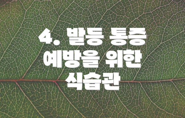 4. 발등 통증 예방을 위한 식습관