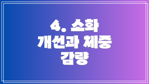 4. 소화 개선과 체중 감량