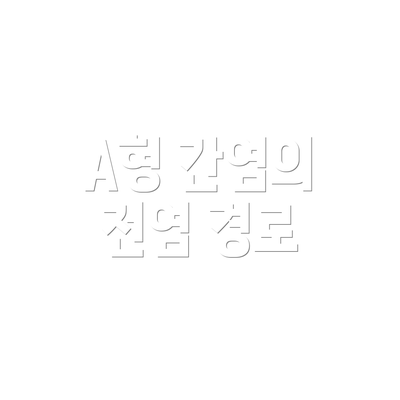A형 간염의 전염 경로