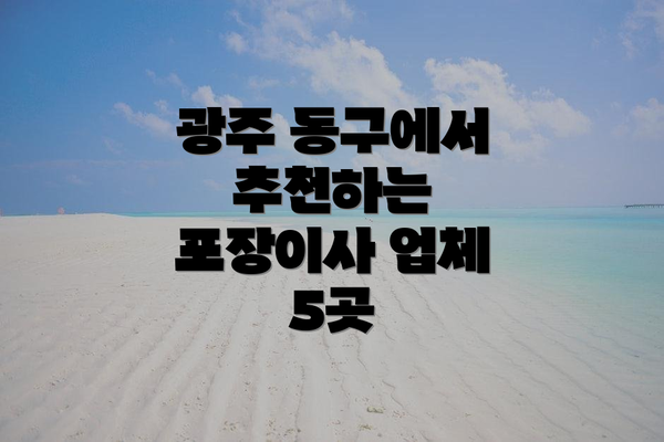 광주 동구에서 추천하는 포장이사 업체 5곳