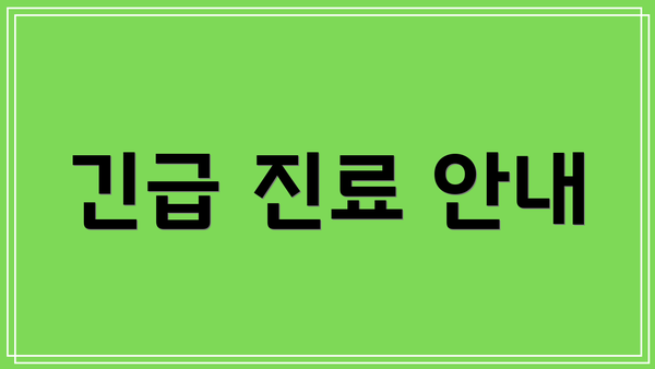 긴급 진료 안내