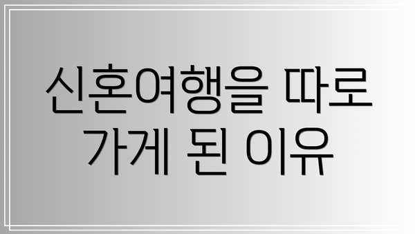 신혼여행을 따로 가게 된 이유