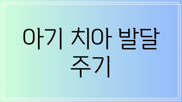 아기 치아 발달 주기