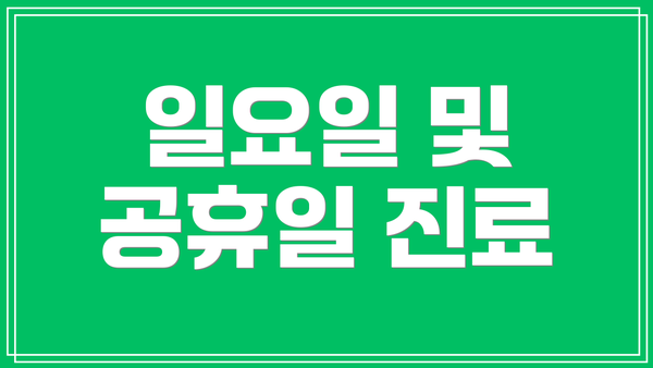 일요일 및 공휴일 진료