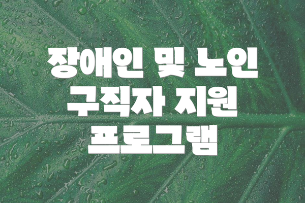 장애인 및 노인 구직자 지원 프로그램