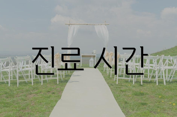 진료 시간